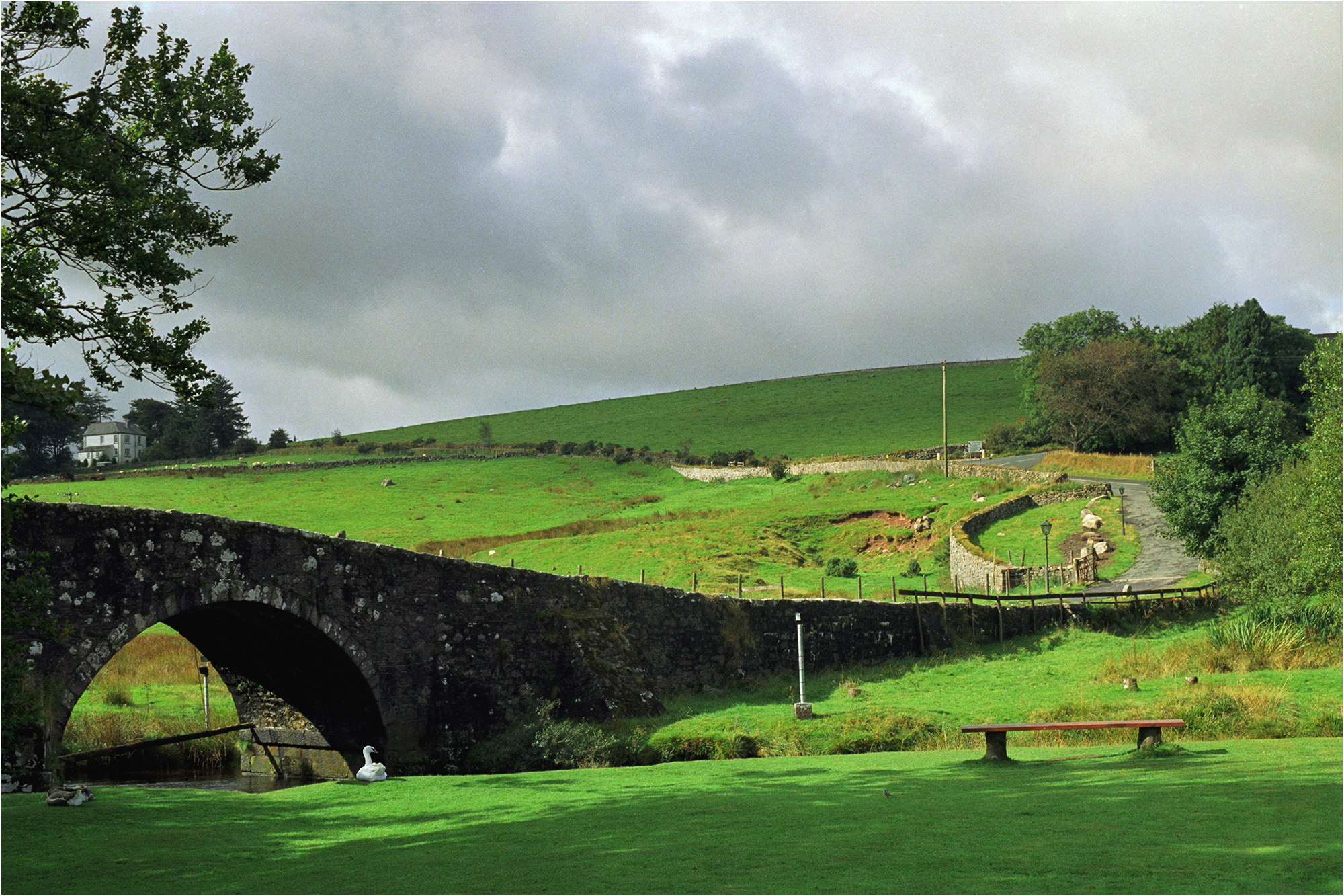 The very elegant curve of a stone bridge cuts across the frame amid sunlight on a hillside.